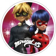 Disque Miraculous Rose Duo (21 cm) - Azyme