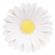 1 Grande Fleur Marguerite Blanche 3D (5 cm) - Sucre