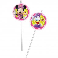 6 Pailles Minnie Flowers