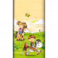 Nappe La ferme aux poneys