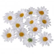 12 Marguerites en Tissu et Perles de ros�e