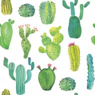 20 Serviettes Cactus
