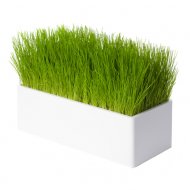 Fair Way blanc, le chemin de table v�g�tal