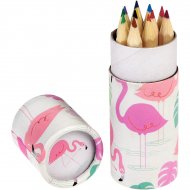 12 crayons de Couleur Flamant Rose (8,5 cm)