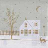 20 Serviettes Village de No�l