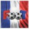 20 Serviettes Foot France images:#0