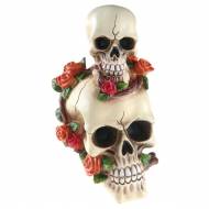 T�te de Mort Rose Multicolores