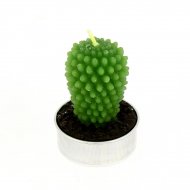 1 Bougie chauffe plat Cactus