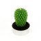 1 Bougie chauffe plat Cactus images:#0