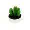 1 Bougie chauffe plat Cactus images:#3