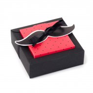 2 Grandes Bo�tes � Drag�es avec Vignette Moustache