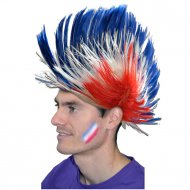 Perruque Punk Tricolore