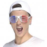 Lunettes Grille Tricolore