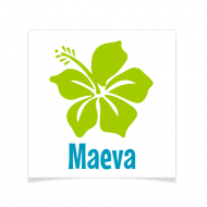 8 Tatouages � personnaliser - Hibiscus