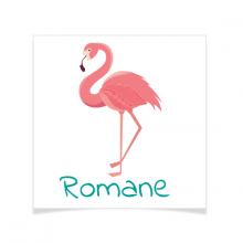 8 Tatouages � personnaliser - Flamant Rose