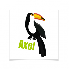 8 Tatouages � personnaliser - Toucan