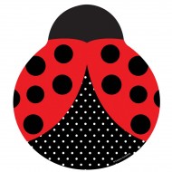 Coccinelle