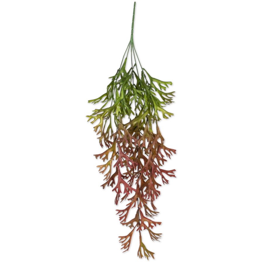 Branche D'Algues Dégradé Vert et Rouge