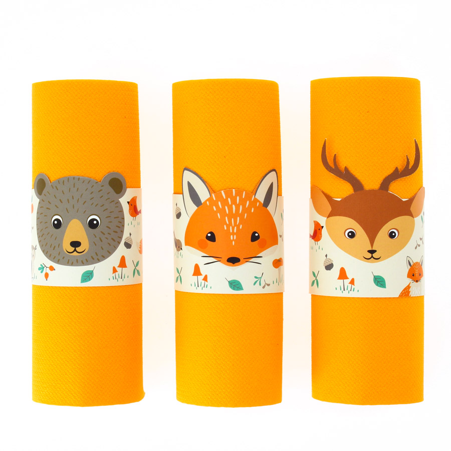 6 Assiettes Animaux de la Forêt - Recyclable pour l'anniversaire de votre  enfant - Annikids