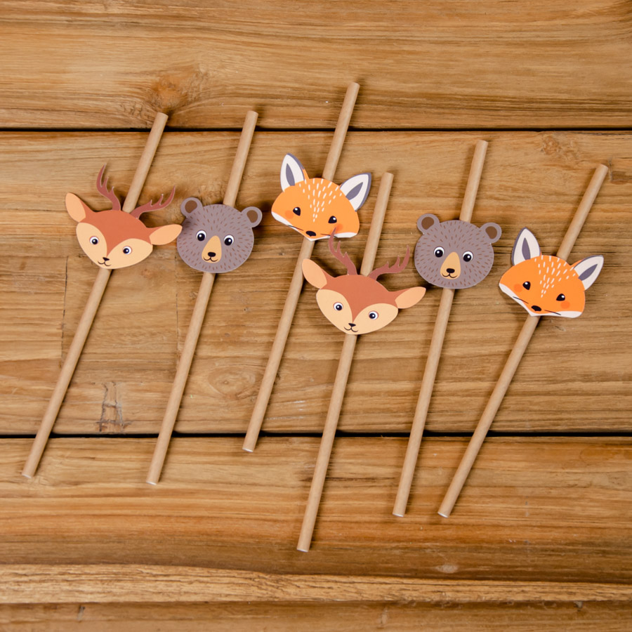 6 Assiettes Animaux de la Forêt - Recyclable pour l'anniversaire de votre  enfant - Annikids