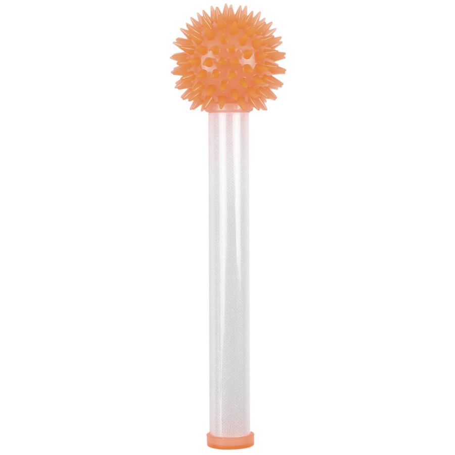 Baton magique Lumineux pour l'anniversaire de votre enfant - Annikids