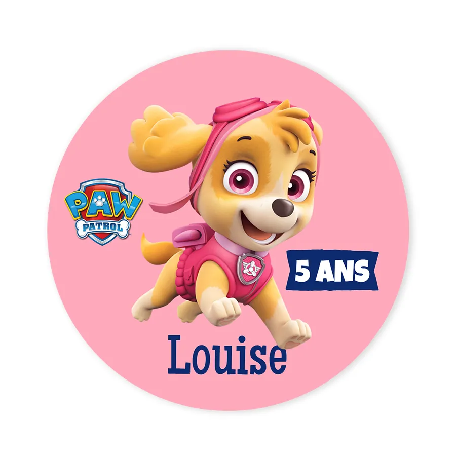 Paw Patrol 3 ans anniversaire Skye' T-shirt Enfant