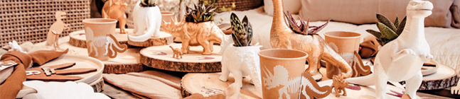 Thme d'anniversaire Dinosaure Kraft/Blanc pour votre enfant