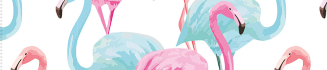 Thème d'anniversaire Flamant Rose Tropical pour votre enfant