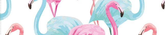 Thme d'anniversaire Flamant Rose Tropical pour votre enfant