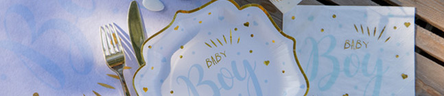 Thme d'anniversaire Baby Boy pour votre enfant