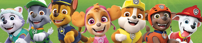 Thme d'anniversaire Pat Patrouille Rescue Heroes pour votre enfant