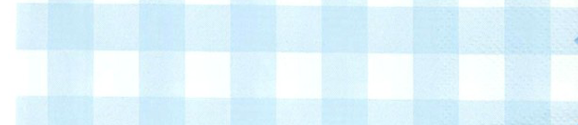 Thme d'anniversaire Festonne Vichy Bleu pour votre enfant
