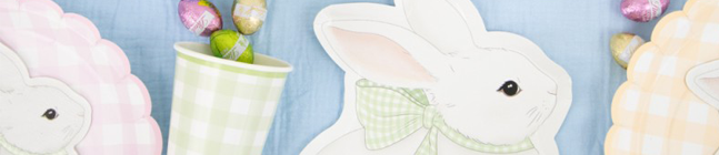 Thme d'anniversaire Vichy Pastel pour votre enfant