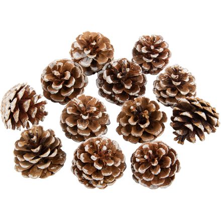 9 Pommes De Pin Naturelles Décoratives - Grosses, Pour Noël, Créations DIY, Décoration Maison