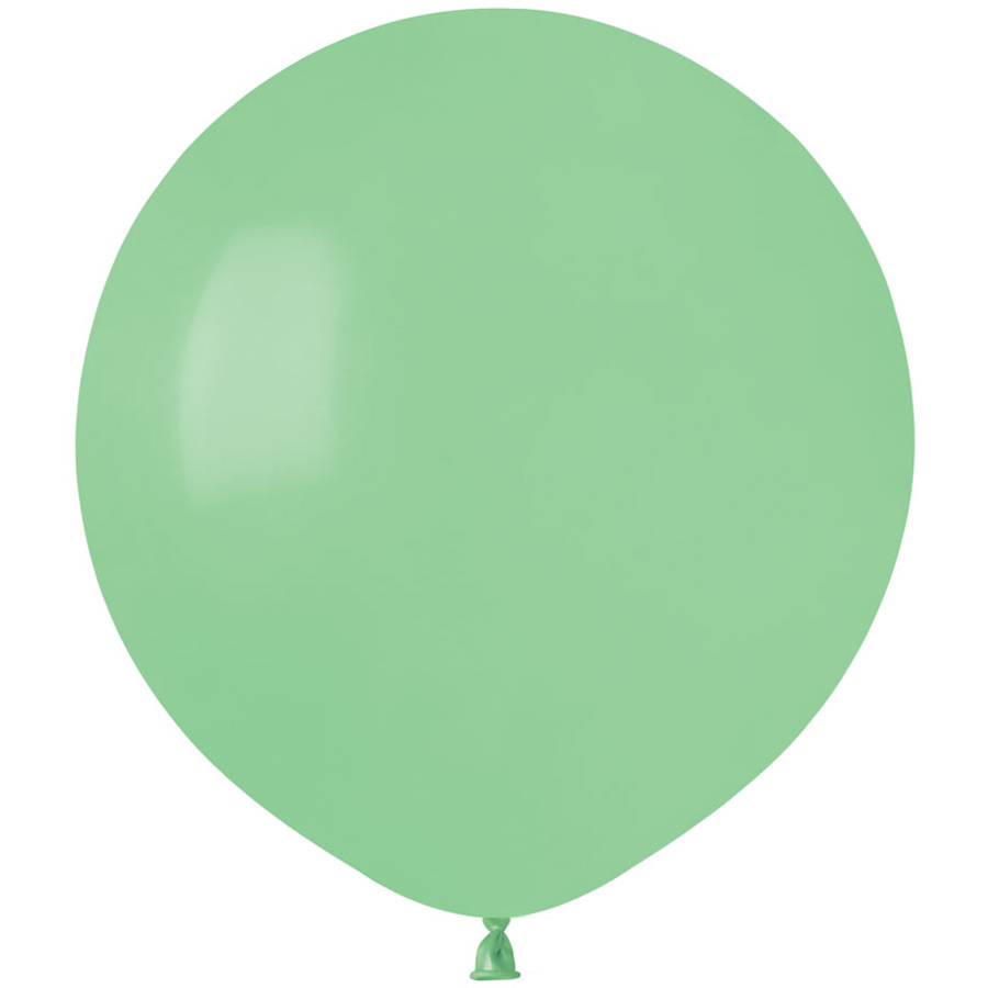 10 Ballons Vert menthe Mat Ø48cm pour l'anniversaire de votre enfant -  Annikids
