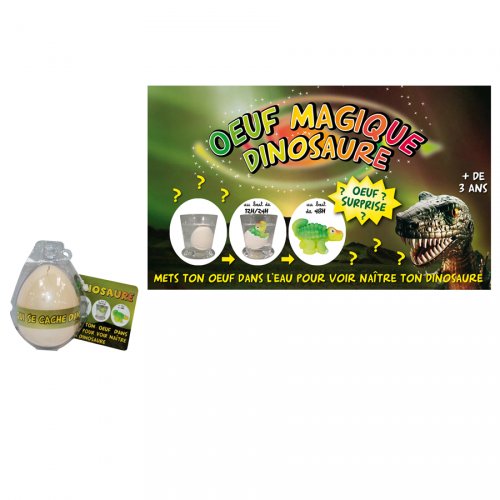 Oeuf Magique Dinosaure Pour L Anniversaire De Votre Enfant Annikids