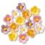 Contient : 1 x 15 Petites fleurs couleurs pastels
