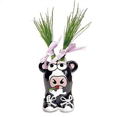 Pot de culture Munakuppi Vache 