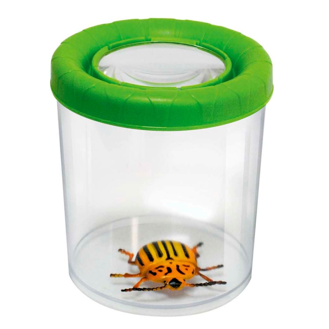 Bote loupe insecte 