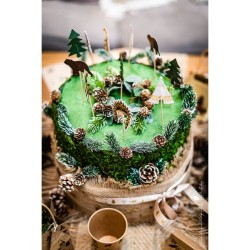 20 Cake Toppers Indian Forest. n2