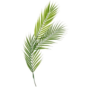 Branche de 3 Feuilles de Palmier sur Tige