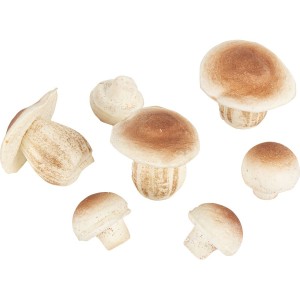 7 Champignons en Mousse Naturel