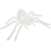 Araignée Velours Blanc