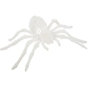 Araigne Velours Blanc