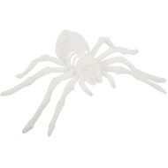 Araignée Velours Blanc