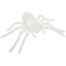 Araignée Velours Blanc images:#0
