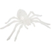 Araignée Velours Blanc. n°1