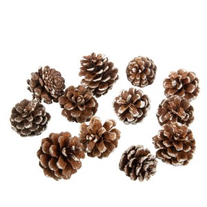 12 Pommes de Pin Naturelles Enneigs - 4 cm