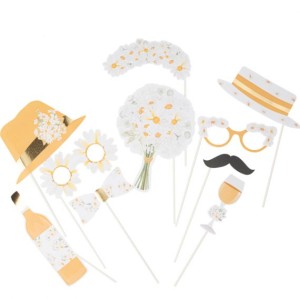 Kit 10 Photobooth Daisy