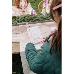 10 Pochettes Cadeaux Fairy World  +  Stickers. n2
